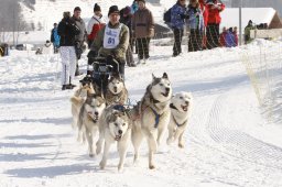 Lenk 2012 SM